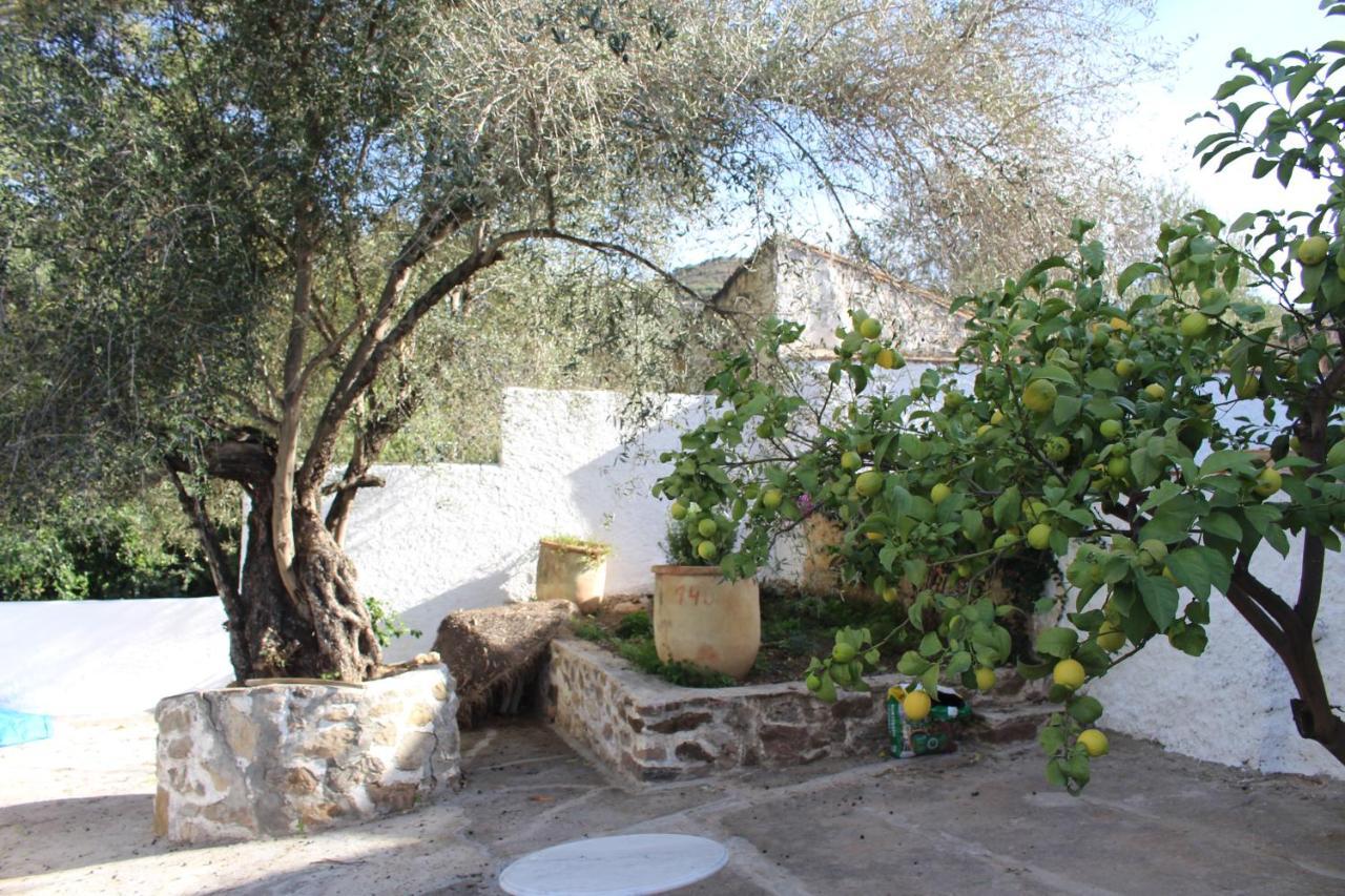 Cortijo El Puente Casa de hóspedes Viñuela Exterior foto
