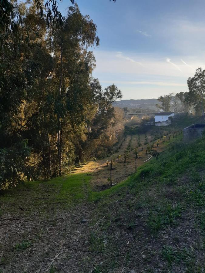 Cortijo El Puente Casa de hóspedes Viñuela Exterior foto
